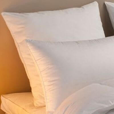 Lot : 2 Oreillers percale de coton microgel - 60 x 60 cm