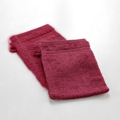 2 Gants de toilette 15x21 cm - 500g/cm² 