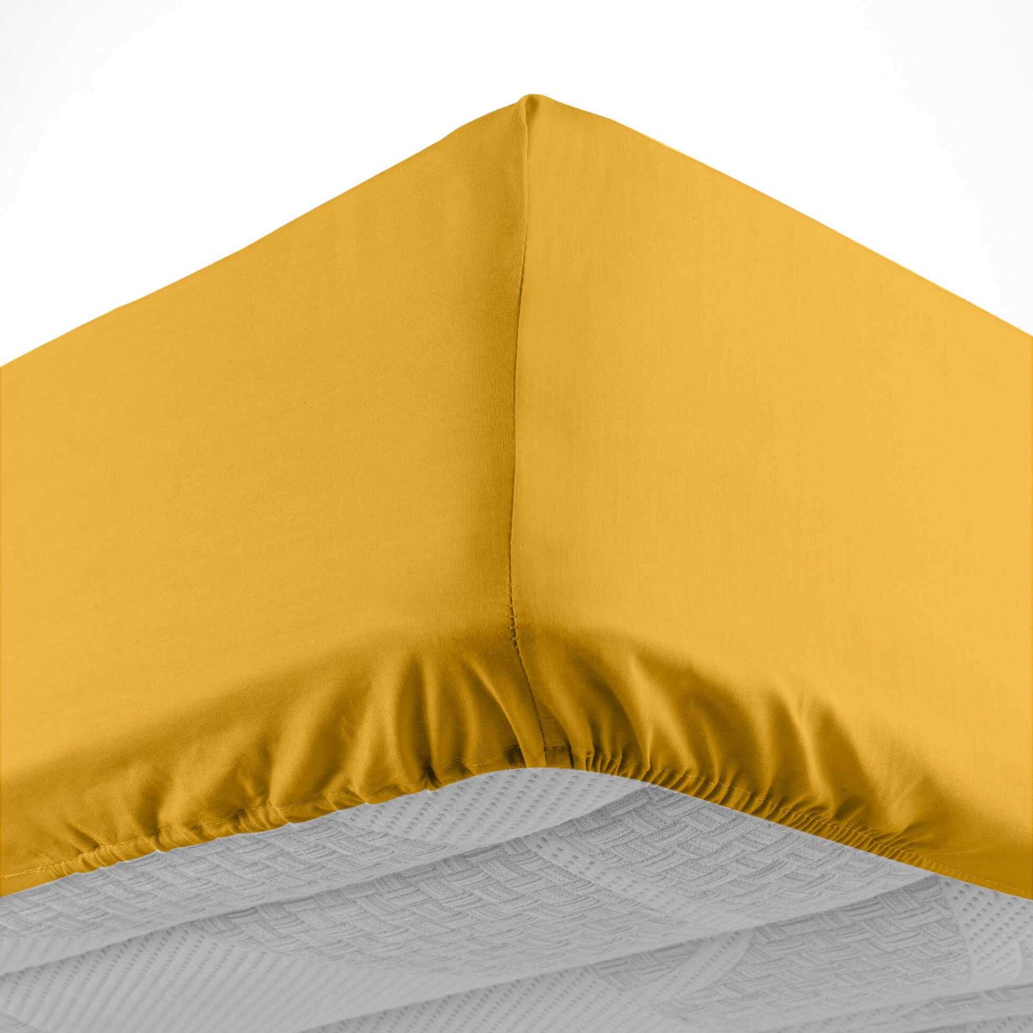 Drap-housse Coton Vison Bonnet 25 - 160x200 cm - 100% coton - Le Roi du  Matelas - Achat & prix