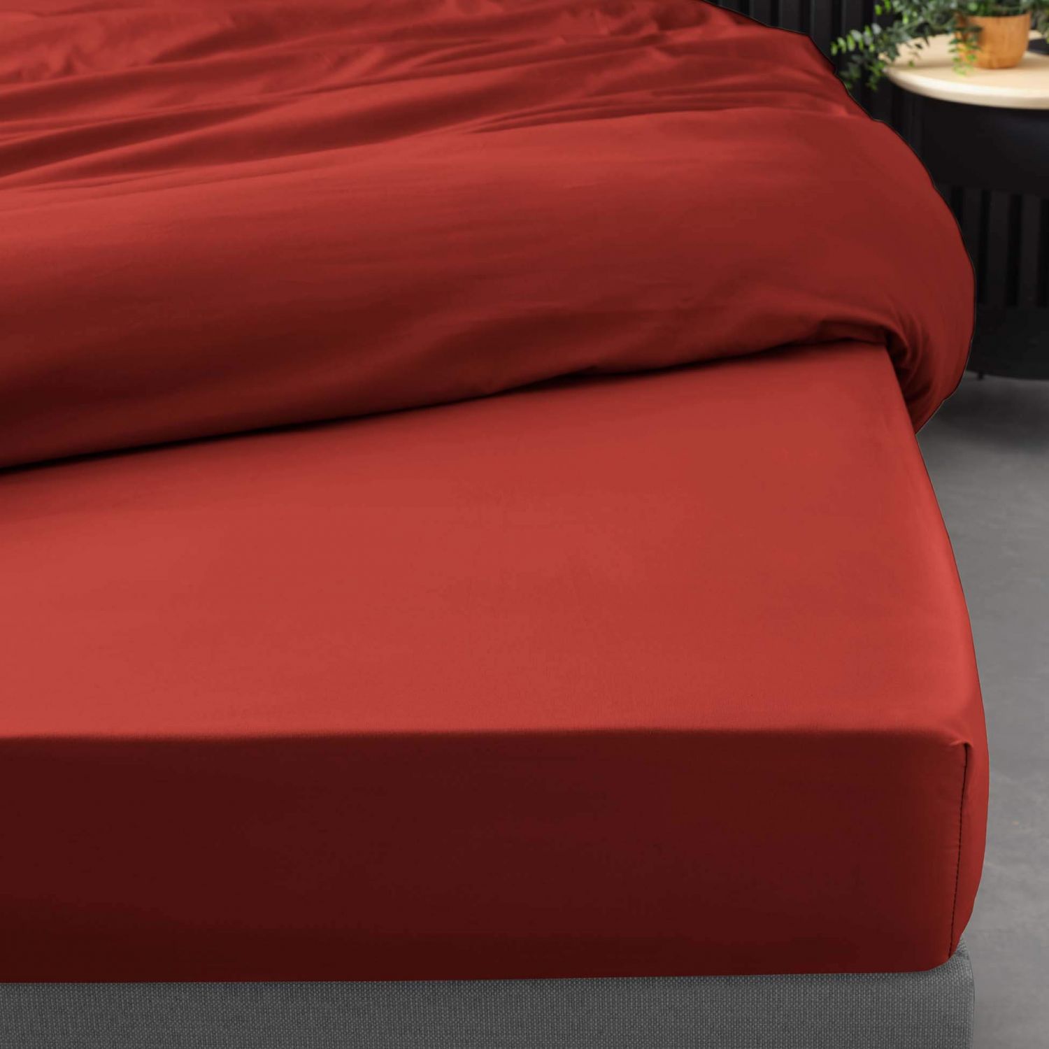 Drap housse 180x200 cm - Percale 100% coton - Bonnet 30 cm - Picture 8 of 41