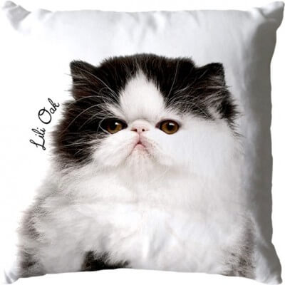 Coussin - Zip - 40 x 40 cm...